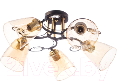 Люстра Aitin-Pro N4480/5 - фото