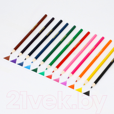 Набор цветных карандашей Мульти-пульти Енот в Индии / CP_10746