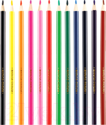 Набор цветных карандашей Мульти-пульти Енот в Исландии / CP_14749