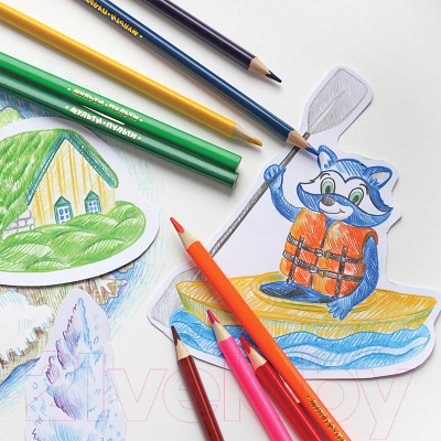 Набор цветных карандашей Мульти-пульти Енот в Исландии / CP_14749