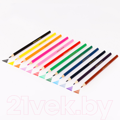 Набор цветных карандашей Мульти-пульти Енот в Испании / CP_10754