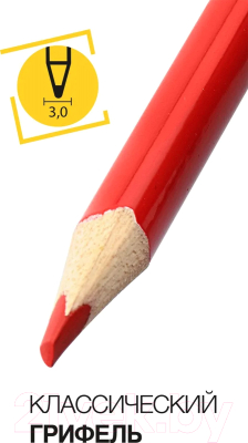 Набор цветных карандашей Schoolformat Дикая планета / КЦ12-ДП