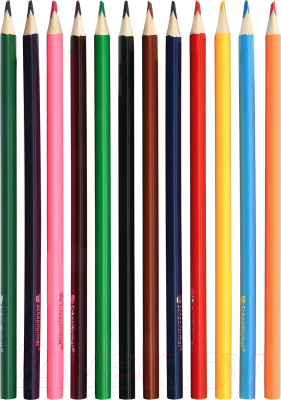 Набор цветных карандашей Schoolformat Дикая планета / КЦ12-ДП