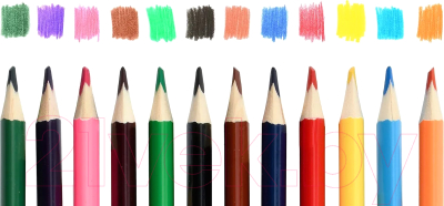 Набор цветных карандашей Schoolformat Дикая планета / КЦ12-ДП