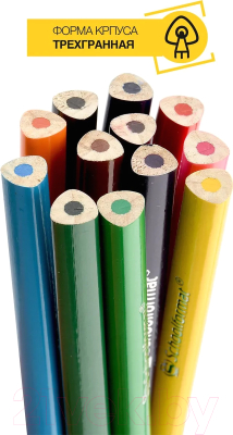 Набор цветных карандашей Schoolformat Дикая планета / КЦ12-ДП