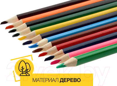 Набор цветных карандашей Schoolformat Дикая планета / КЦ12-ДП