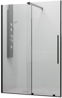 Душевая дверь RGW TO-18B / 41071812-14 - фото