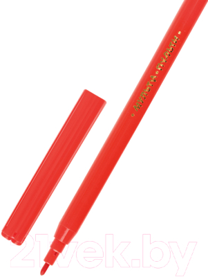 Фломастеры Мульти-пульти Енот во Франции / WP_10716