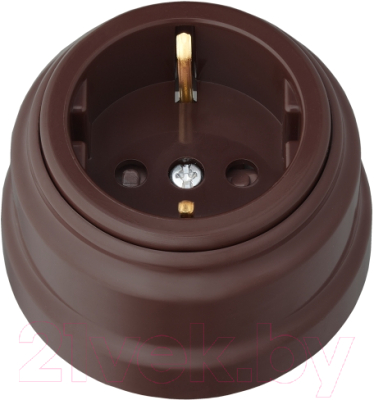 Розетка Bylectrica Ретро РА16-0206 - фото