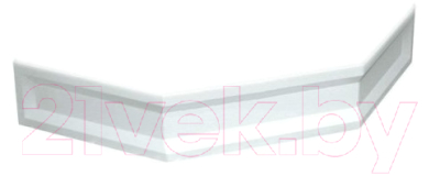 Экран для душевого поддона RGW NT/CL-s-08 / 16230713-80 - фото