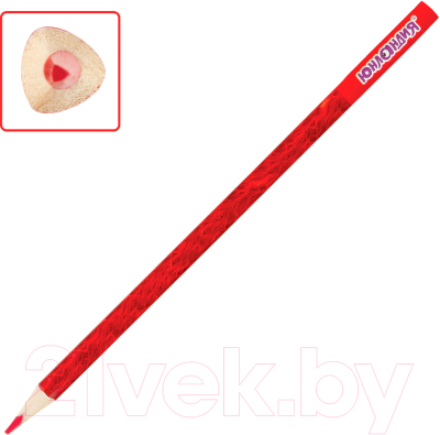 Набор цветных карандашей Юнландия Сафари / 181580