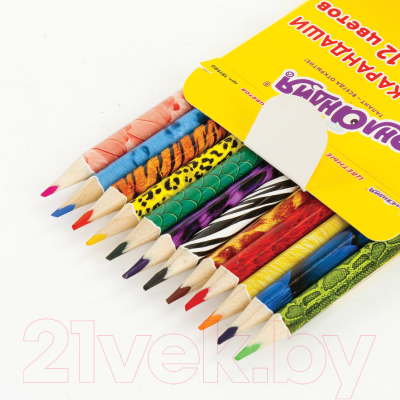 Набор цветных карандашей Юнландия Сафари / 181580