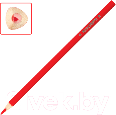 Набор цветных карандашей Юнландия Экзотика / 181647