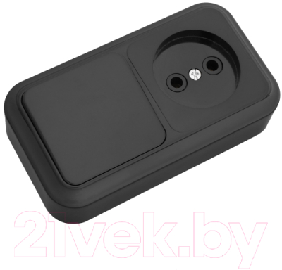 Блок выключатель+розетка Bylectrica Пралеска В-РЦ-521 - фото