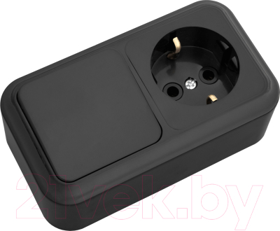 Блок выключатель+розетка Bylectrica Пралеска В-РЦ-527 - фото