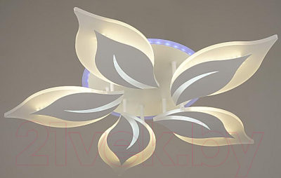 Потолочный светильник Aitin-Pro YH228/5 RGB - фото