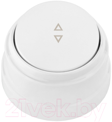 Выключатель Bylectrica А6 10-2261 - фото