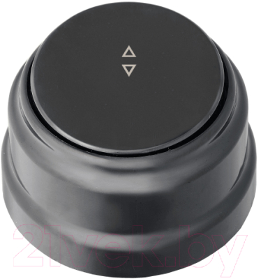 Выключатель Bylectrica А6 10-2261 - фото