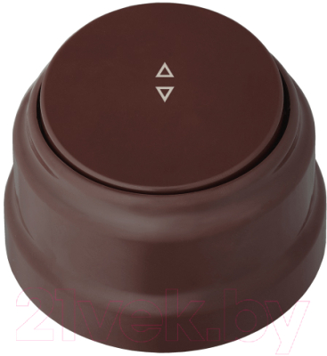 Выключатель Bylectrica А6 10-2261 - фото