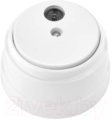 Розетка Bylectrica ТР-5241 - фото