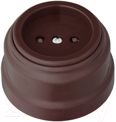 Розетка Bylectrica РА16-0205 - фото