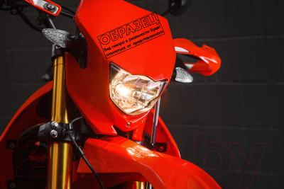 Мотоцикл M1NSK X 250 Мотоцикл M1NSK X 250