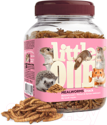 Лакомство для грызунов Mealberry Little One Мучной червь для всеядных грызунов - фото