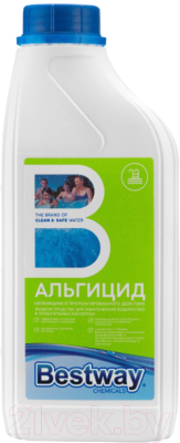 Средство для борьбы с водорослями Bestway Альгицид непенящийся AP1LBW - фото