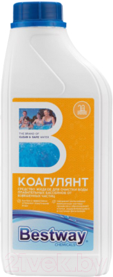 Коагулянт для бассейна Bestway KO1.1LBW - фото
