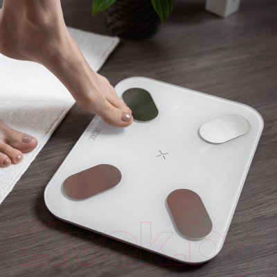 Напольные весы электронные Picooc S1 Pro V2