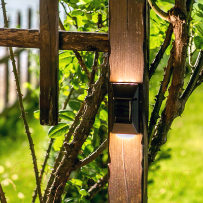 Бра уличное Uniel Newyork USL-F-154/PT120 / UL-00009370