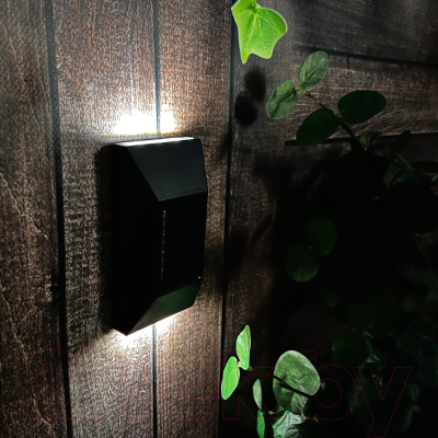 Бра уличное Uniel Newyork USL-F-154/PT120 / UL-00009370