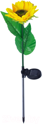 Светильник уличный Uniel USL-S-814/PT700 / UL-00009378 - фото