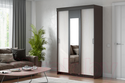 Шкаф-купе NN мебель ШКП 2 (дуб венге/ясень анкор светлый)