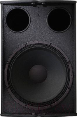 Сценический монитор Electro-Voice TX1181