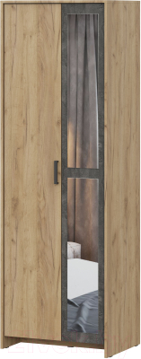 Шкаф NN мебель МСП 1 2ств (дуб золотой/камень темный)