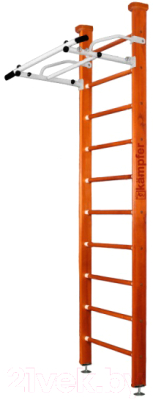 Шведская стенка Kampfer Swedish Ceiling - фото