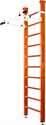 Шведская стенка Kampfer Swedish Ceiling - фото