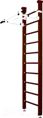 Шведская стенка Kampfer Swedish Ceiling - фото