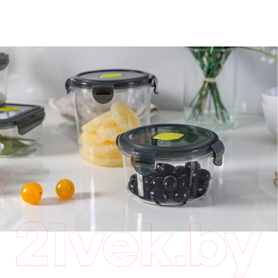 Контейнер Phibo Brilliant / 431179613 (черный)