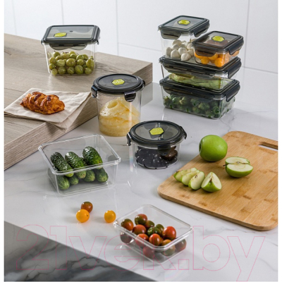 Контейнер Phibo Brilliant / 431179813 (черный)