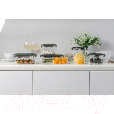 Контейнер Phibo Brilliant / 431179813 (черный)