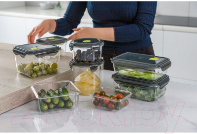 Контейнер Phibo Brilliant / 431179913