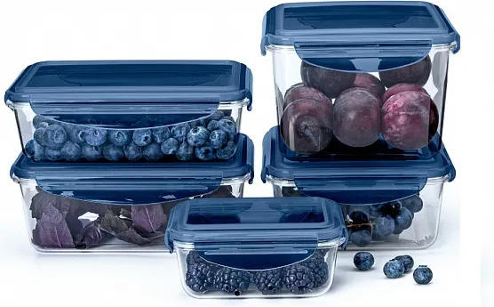 Контейнер Phibo Brilliant / 431199217