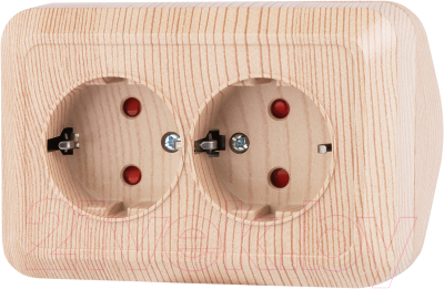 Розетка TDM Ладога SQ1801-0443 - фото