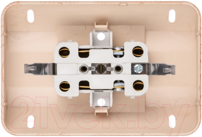 Розетка TDM Ладога SQ1801-0443