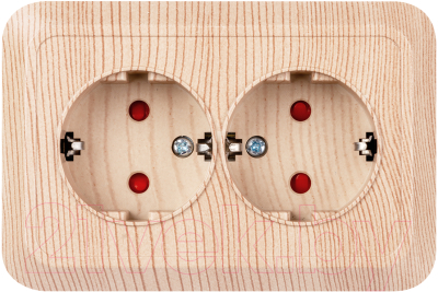 Розетка TDM Ладога SQ1801-0443