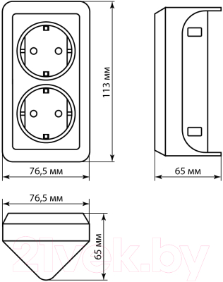 Розетка TDM Ладога SQ1801-0443