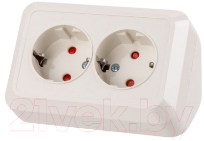 Розетка TDM Ладога SQ1801-0243 - фото