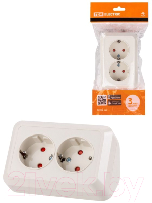 Розетка TDM Ладога SQ1801-0243